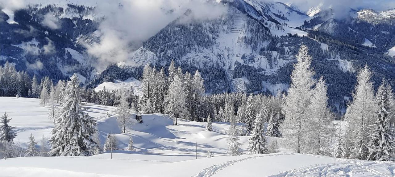 Chalet Auhof フラッハウ エクステリア 写真